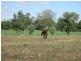 217 Gwydirfield Road, Moree NSW 2400