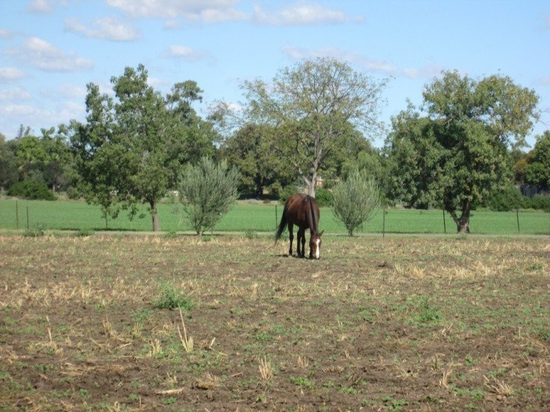217 Gwydirfield Road, Moree NSW 2400