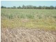 Lot 6 Newell Highway, Moree NSW 2400