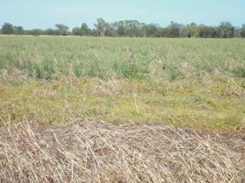 Lot 6 Newell Highway, Moree NSW 2400