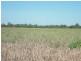 Lot 6 Newell Highway, Moree NSW 2400