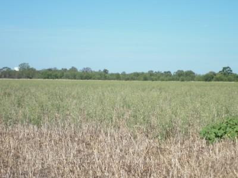 Lot 6 Newell Highway, Moree NSW 2400