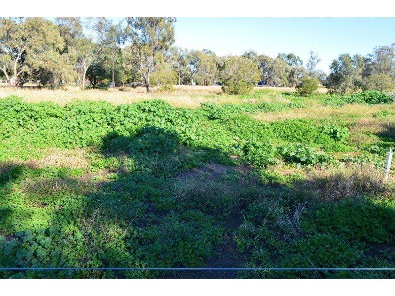 11 Boolooroo Street, Ashley NSW 2400