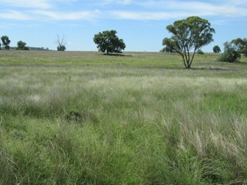 . “Esmadale”, Warialda NSW 2402