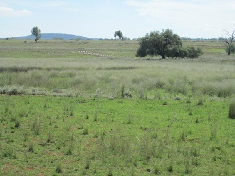 . “Esmadale”, Warialda NSW 2402