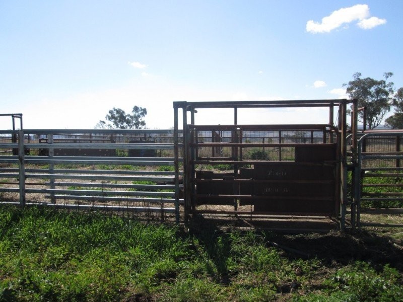 “Kyelah”, Warialda NSW 2402