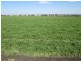 “Kyelah”, Warialda NSW 2402