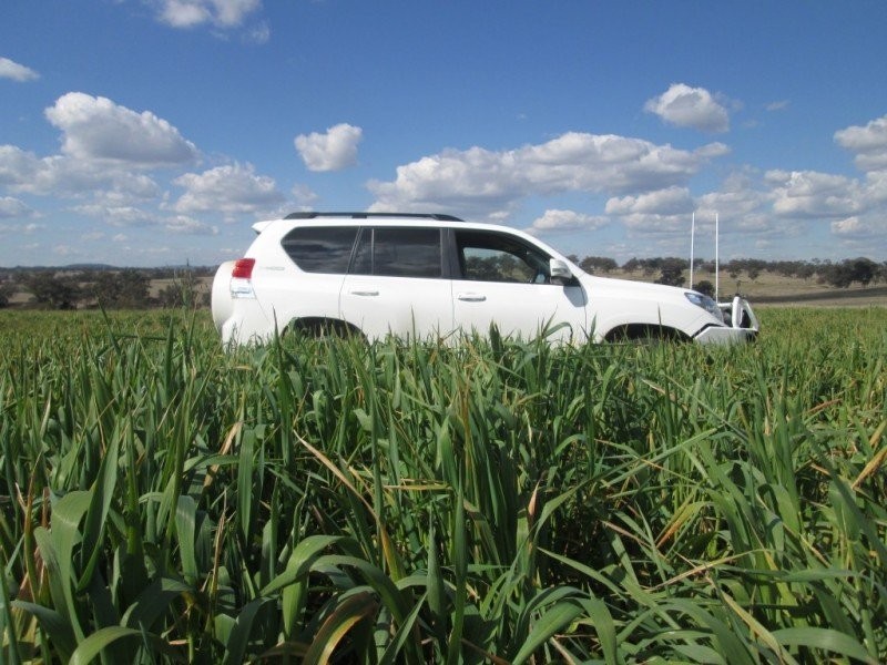 “Kyelah”, Warialda NSW 2402