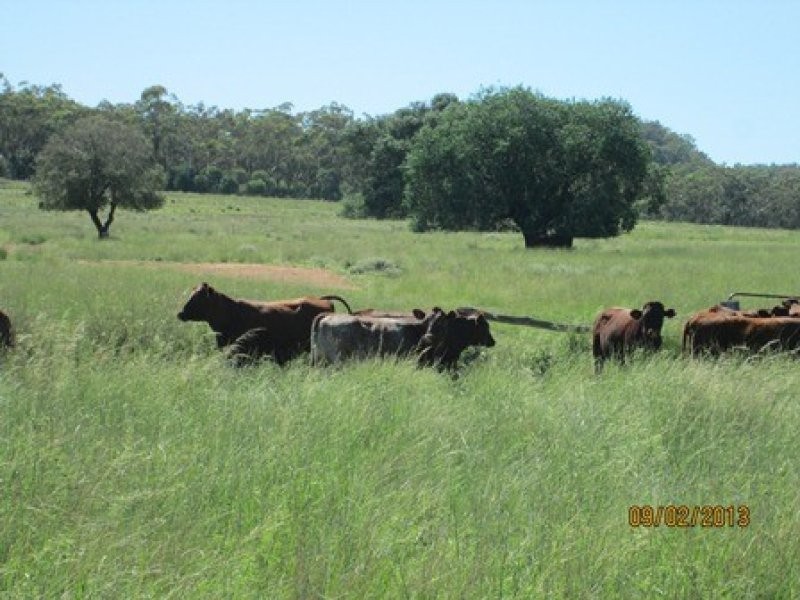 . “Bluevale” and “Irragappa”, Bellata NSW 2397