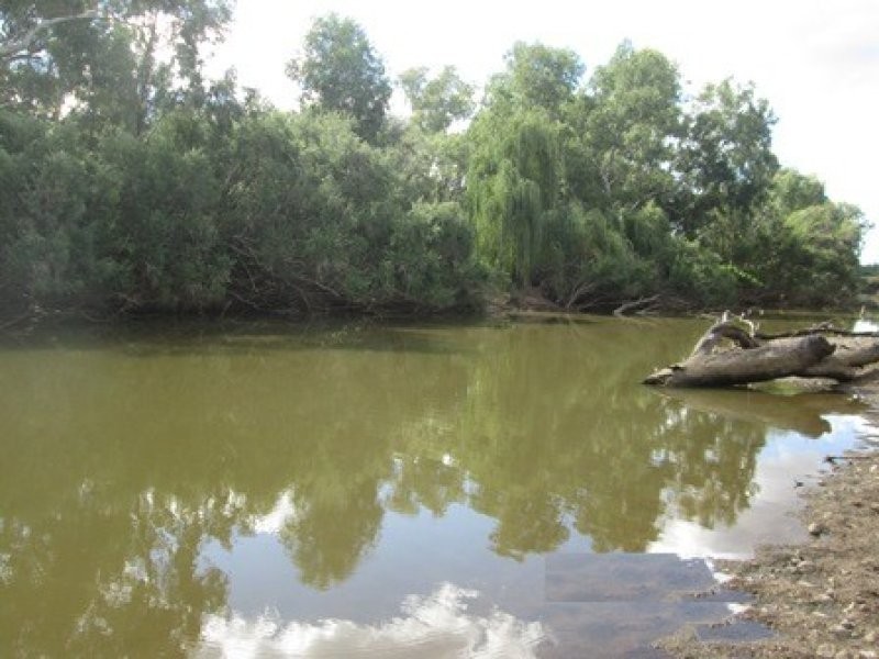 “Oongarah”, Pallamallawa NSW 2399