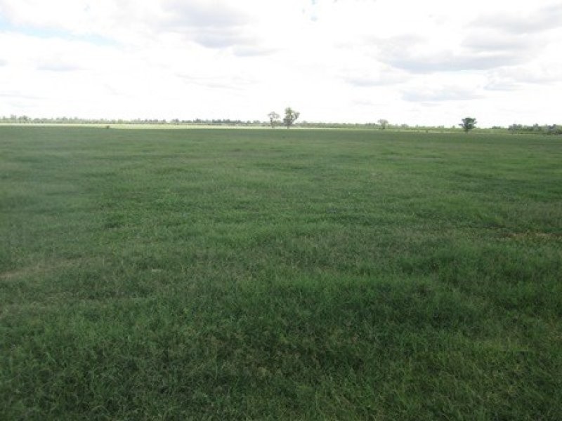 “Oongarah”, Pallamallawa NSW 2399