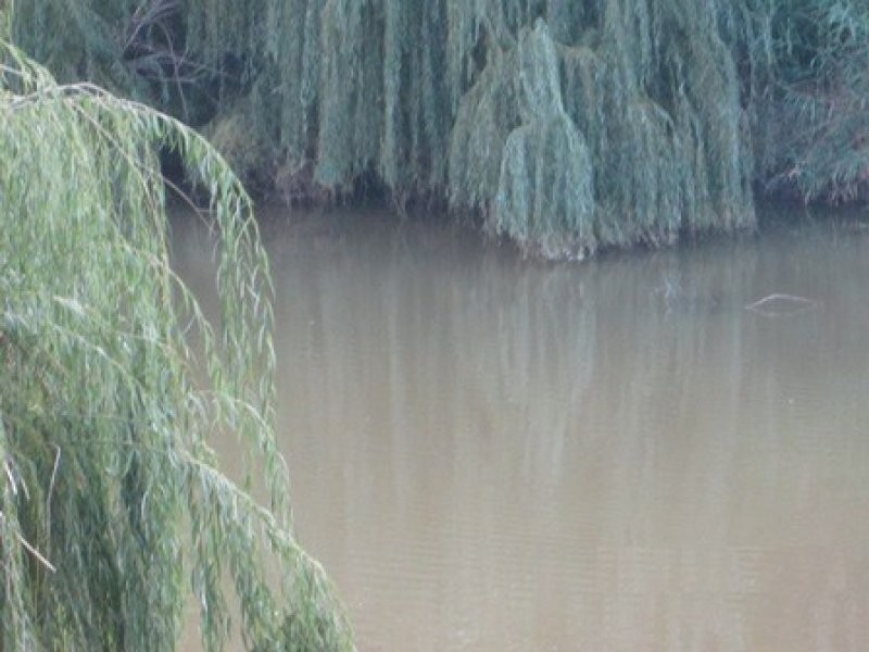 “Oongarah”, Pallamallawa NSW 2399