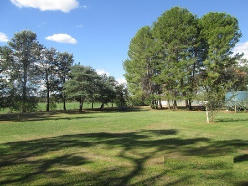 “Oongarah”, Pallamallawa NSW 2399