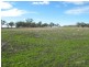 . “Ponderosa”, Warialda NSW 2402