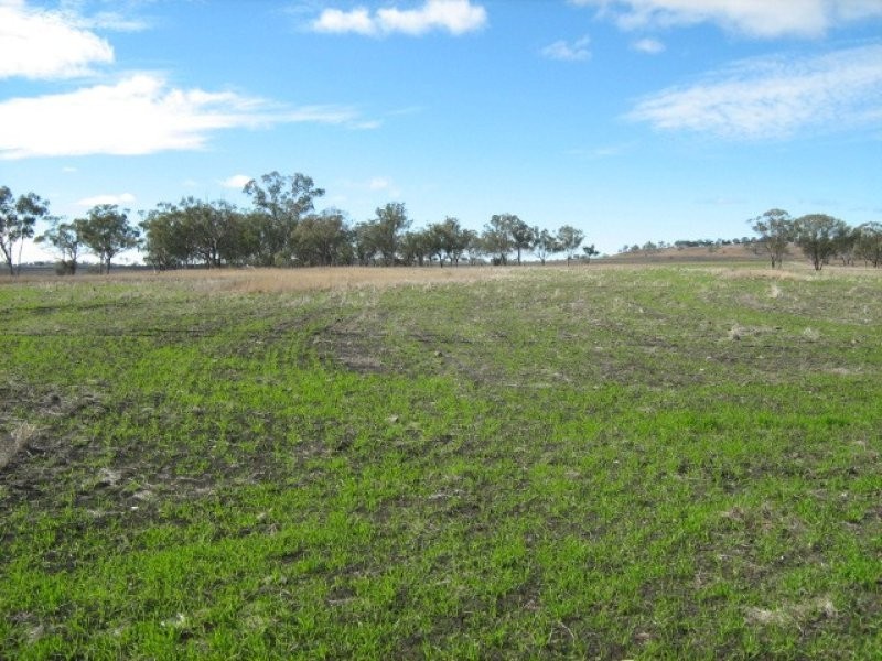 . “Ponderosa”, Warialda NSW 2402