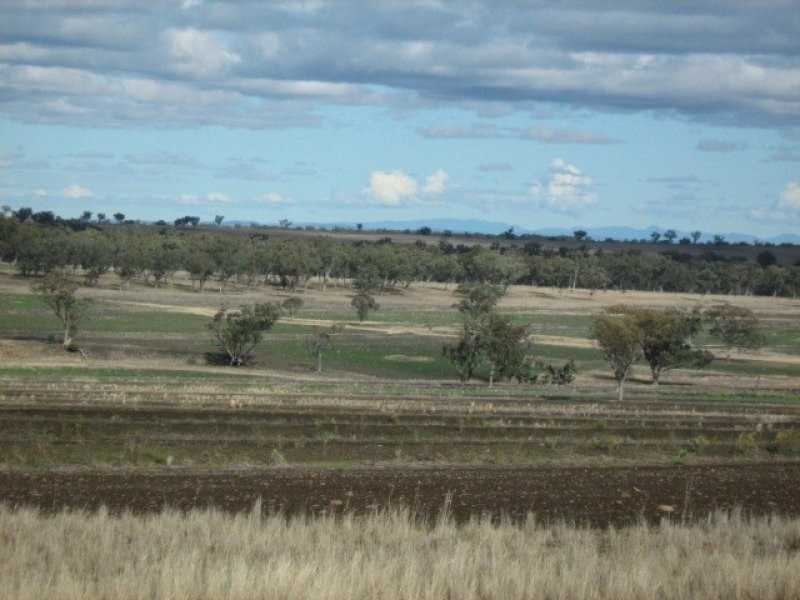 . “Ponderosa”, Warialda NSW 2402