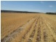 . “Koinonia”, Biniguy NSW 2399