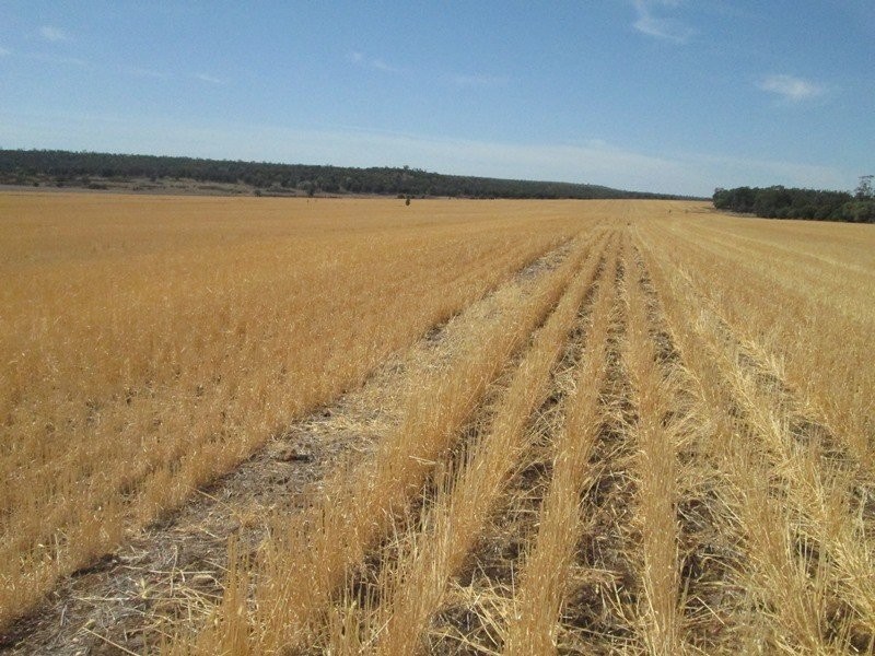 . “Koinonia”, Biniguy NSW 2399