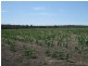 . “Koinonia”, Biniguy NSW 2399