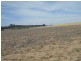 . “Koinonia”, Biniguy NSW 2399