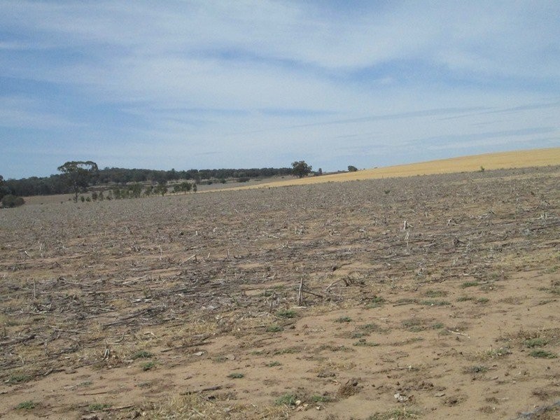 . “Koinonia”, Biniguy NSW 2399