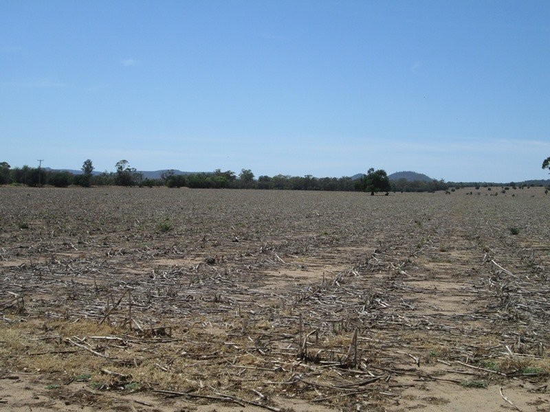 . “Koinonia”, Biniguy NSW 2399