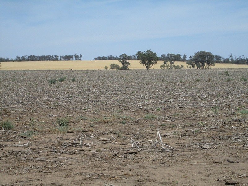 . “Koinonia”, Biniguy NSW 2399