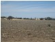 . “Koinonia”, Biniguy NSW 2399