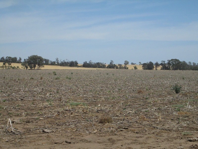 . “Koinonia”, Biniguy NSW 2399