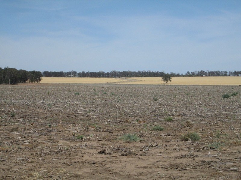 . “Koinonia”, Biniguy NSW 2399