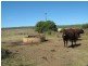 “Bellville”, Biniguy NSW 2399