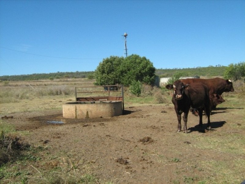 “Bellville”, Biniguy NSW 2399