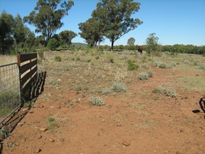 “Bellville”, Biniguy NSW 2399