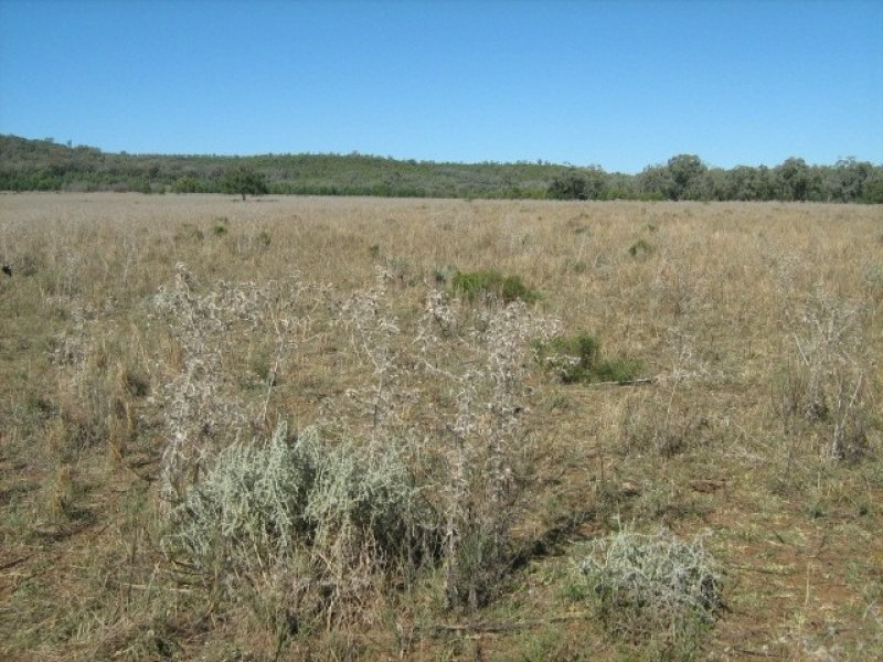 “Bellville”, Biniguy NSW 2399