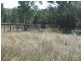 “Bellville”, Biniguy NSW 2399