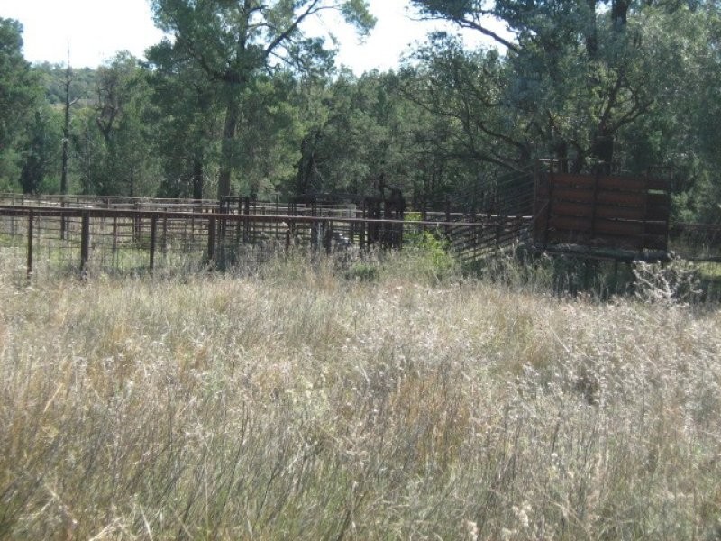 “Bellville”, Biniguy NSW 2399