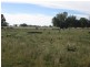 . “Limerick”, Moree NSW 2400