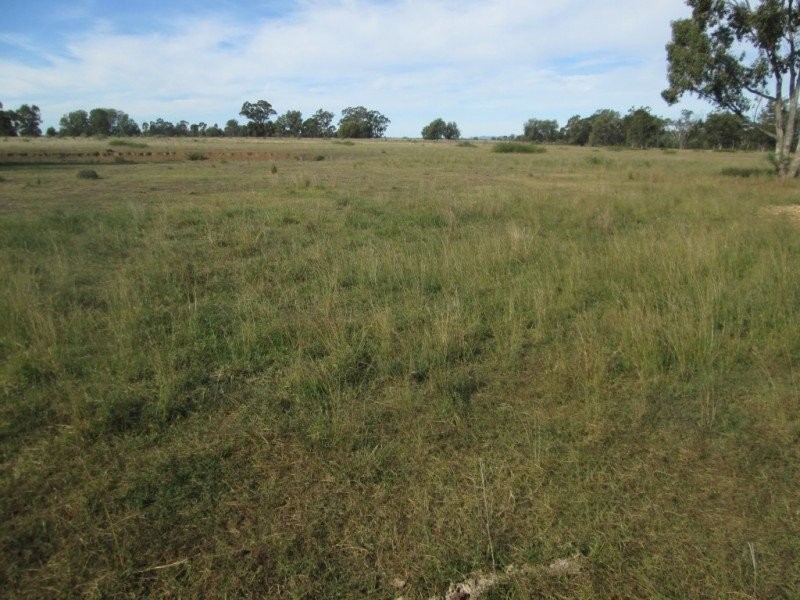 . “Limerick”, Moree NSW 2400
