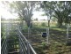. “Limerick”, Moree NSW 2400