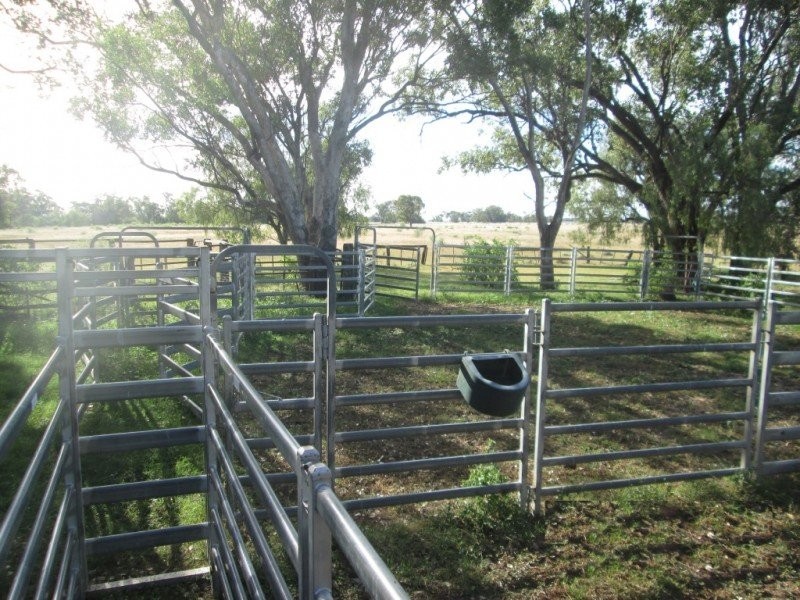 . “Limerick”, Moree NSW 2400