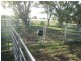 . “Limerick”, Moree NSW 2400
