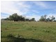 . “Limerick”, Moree NSW 2400