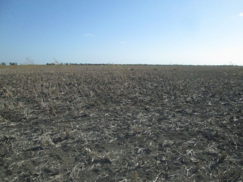 “Boyanga”, Moree NSW 2400
