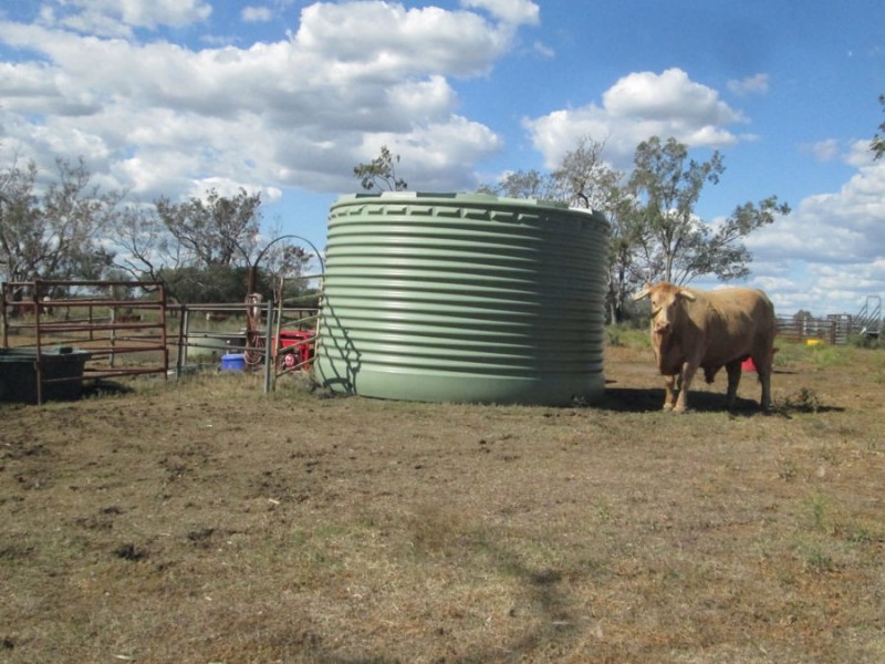 “The Carbeens”, Moree NSW 2400