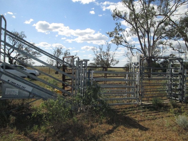 “The Carbeens”, Moree NSW 2400