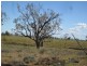 “The Carbeens”, Moree NSW 2400