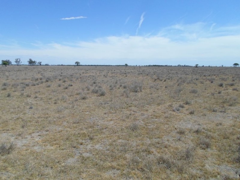 Goats Run, Moree NSW 2400