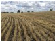 “Geida Downs” and “Fairford”, Warialda, Warialda NSW 2402