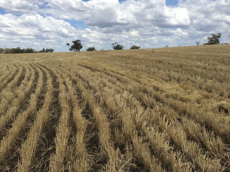 “Geida Downs” and “Fairford”, Warialda, Warialda NSW 2402