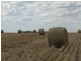 “Geida Downs” and “Fairford”, Warialda, Warialda NSW 2402